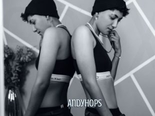 Andyhops