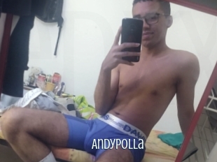 Andypolla