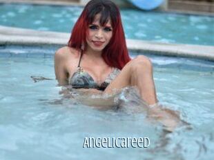 Angelicareed