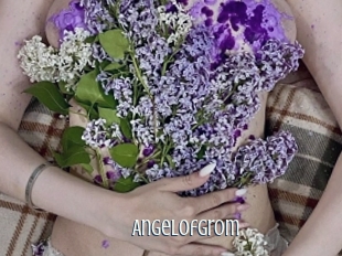 Angelofgrom