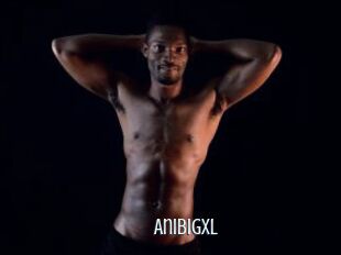 Anibigxl