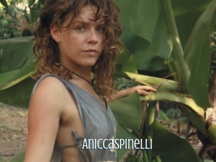 Aniccaspinelli
