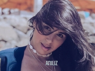 Aniliz