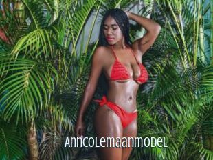 Anncolemaanmodel