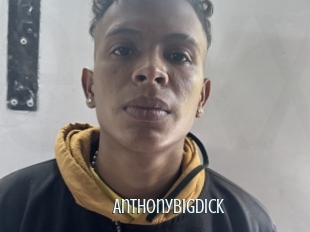 Anthonybigdick