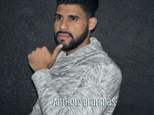 anthonybrahmas Edonkey xxx