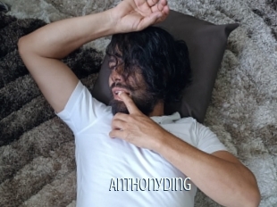 anthonyding Edonkey xxx