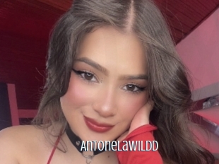 Antonelawildd