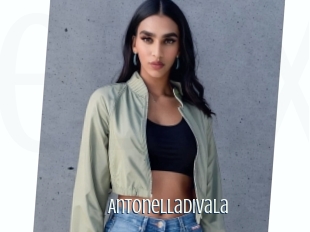 Antonelladivala