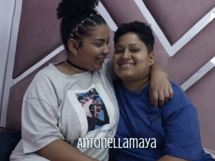 Antonellamaya