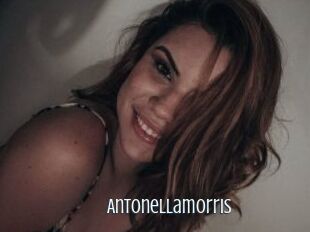 Antonellamorris
