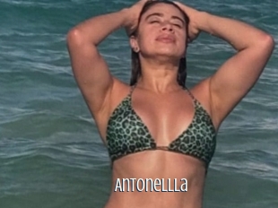 Antonellla