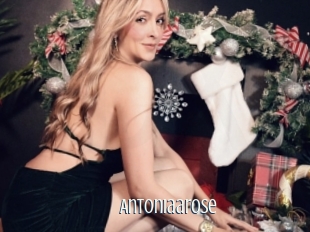 Antoniaarose