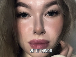 Antoniabasil