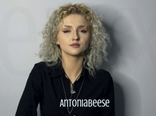 Antoniabeese