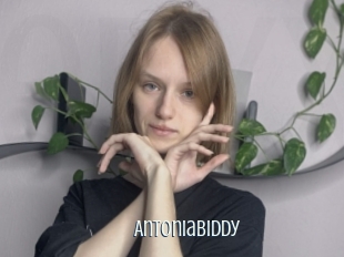 Antoniabiddy