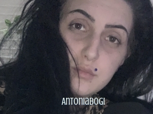 Antoniabogi