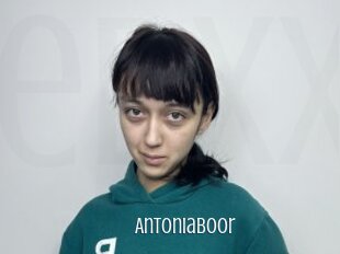 Antoniaboor