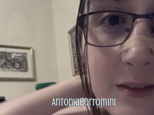 Antoniaborromini