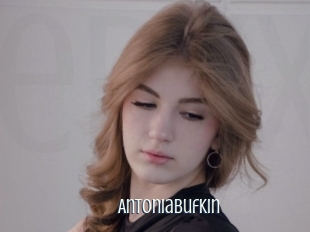 Antoniabufkin