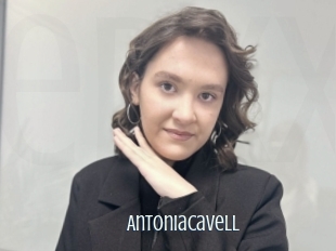Antoniacavell