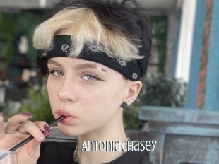 Antoniachasey
