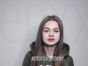 Antoniacordner