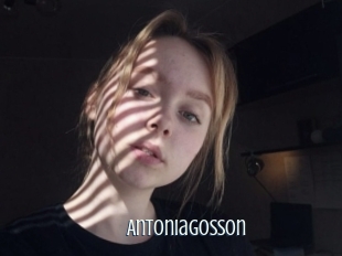 Antoniagosson