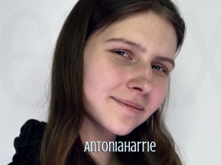 Antoniaharrie