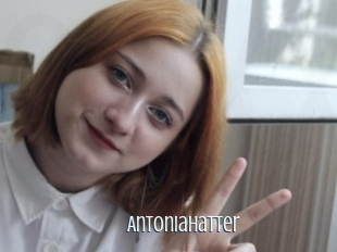 antoniahatter Edonkey xxx
