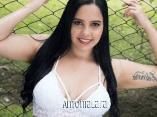 antonialara Edonkey xxx