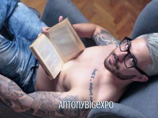 Antonybigexpo