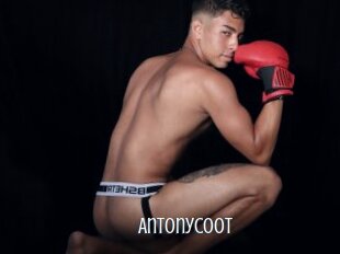 Antonycoot