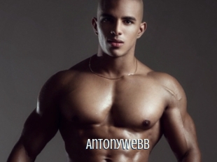 Antonywebb