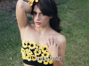 Ari_goldman