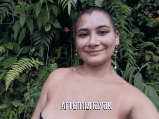 Artemiznayak