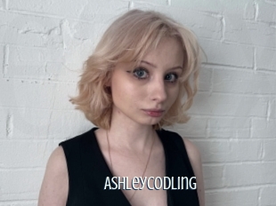 Ashleycodling