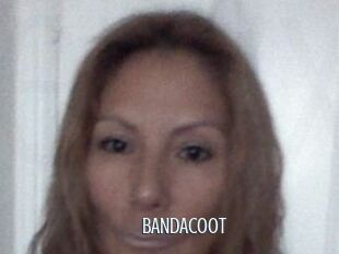 BANDACOOT
