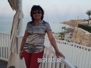 BIGPLEASURE
