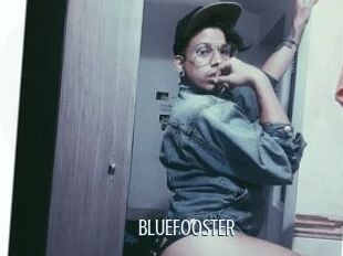 BLUEFOOSTER