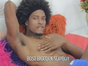 BOST_BIGCOCK_SEXYBOY