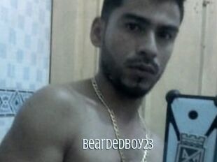 Beardedboy23
