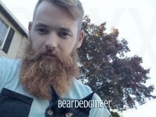 Beardedginger