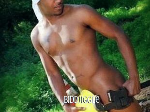 BidDjiggle