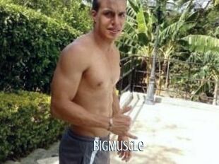 Big_Muscle