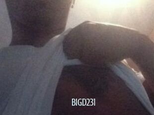 Bigd231