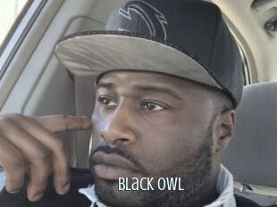 Black_owl