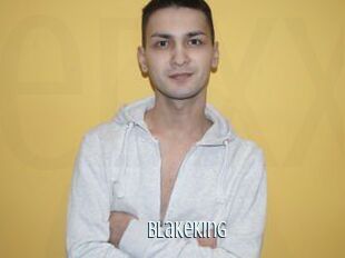BlakeKing