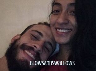 BlowsAndSwallows