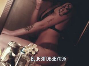Bluebirdbaby096